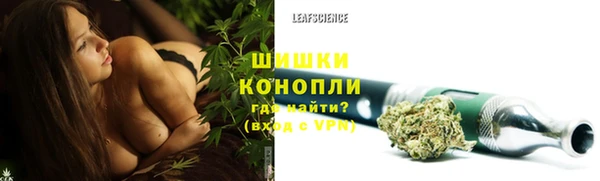 ГАЛЛЮЦИНОГЕННЫЕ ГРИБЫ Беломорск