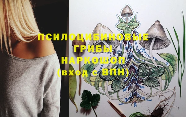ГАЛЛЮЦИНОГЕННЫЕ ГРИБЫ Беломорск